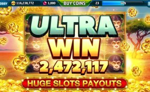 955bet