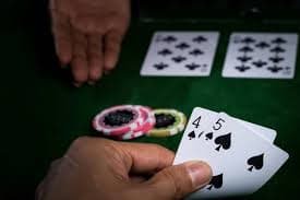 955bet