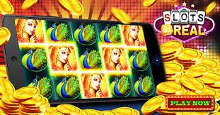 955bet