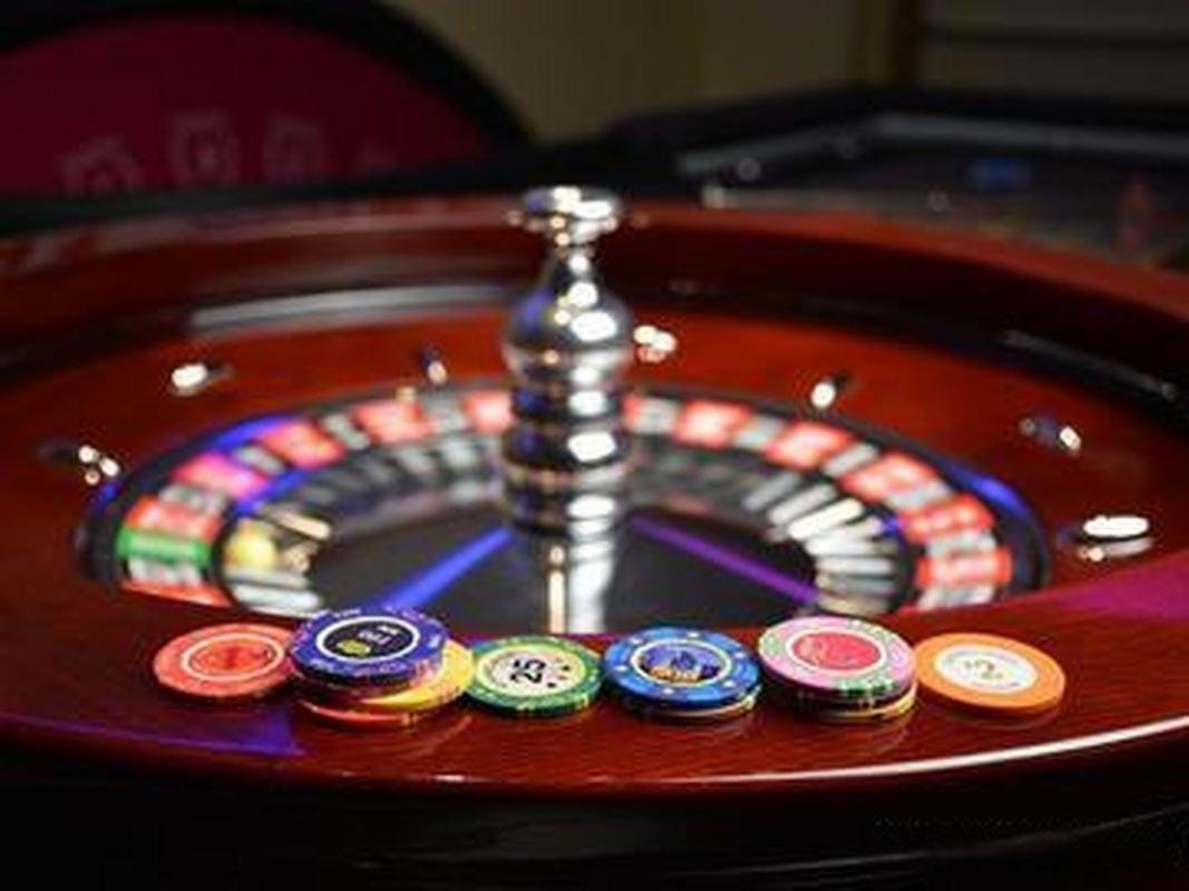 955bet
