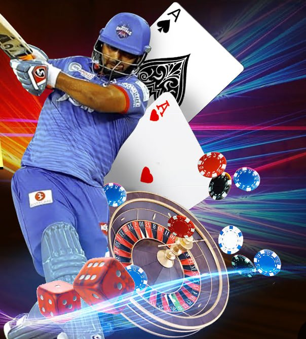 955bet